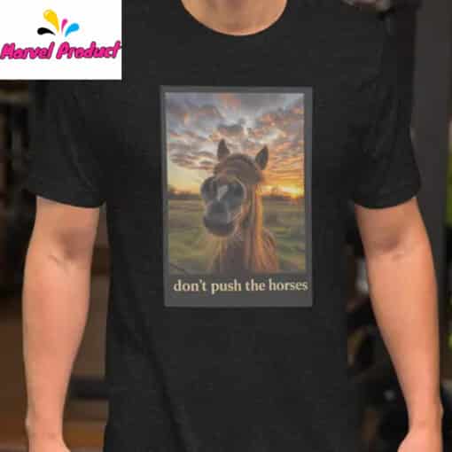 Don't Push the Horses Ukrainian Fighter Shirt